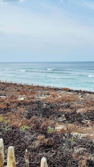 Appartement 2 A 4 Personnes A 50M De La Plage ลากาโน ภายนอก รูปภาพ